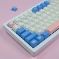 Dreamland 104+25 PBT Dye-subbed Keycaps Set Cherry Profile for MX Switches Mechanical Gaming Keyboard